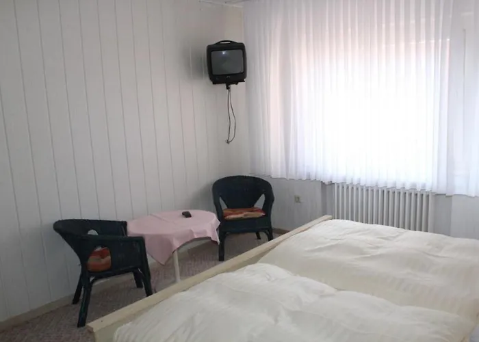 酒店 Haus Lussing 2*